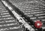 Image of Dachau Concentration Camp Germany, 1945, second 43 stock footage video 65675064126