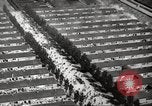 Image of Dachau Concentration Camp Germany, 1945, second 44 stock footage video 65675064126