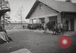 Immagine di Campo di Concentramento di Dachau Germania, 1945, secondo 3 filmato di repertorio 65675064127