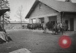 Immagine di Campo di Concentramento di Dachau Germania, 1945, secondo 4 filmato di repertorio 65675064127
