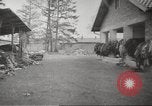 Immagine di Campo di Concentramento di Dachau Germania, 1945, secondo 9 filmato di repertorio 65675064127