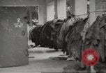 Immagine di Campo di Concentramento di Dachau Germania, 1945, secondo 19 filmato di repertorio 65675064127