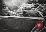 Image le camp de concentration de Bergen-Belsen Allemagne, 1945, de la seconde 6 séquences d'archives historiques vidéo 65675064130