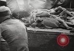 Image le camp de concentration de Bergen-Belsen Allemagne, 1945, de la seconde 10 séquences d'archives historiques vidéo 65675064130