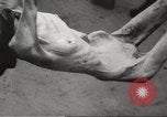 Image le camp de concentration de Bergen-Belsen Allemagne, 1945, de la seconde 17 séquences d'archives historiques vidéo 65675064130