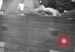 Image le camp de concentration de Bergen-Belsen Allemagne, 1945, de la seconde 33 séquences d'archives historiques vidéo 65675064130
