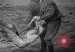 Image le camp de concentration de Bergen-Belsen Allemagne, 1945, de la seconde 41 séquences d'archives historiques vidéo 65675064130