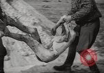 Image le camp de concentration de Bergen-Belsen Allemagne, 1945, de la seconde 42 séquences d'archives historiques vidéo 65675064130