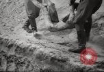 Image le camp de concentration de Bergen-Belsen Allemagne, 1945, de la seconde 46 séquences d'archives historiques vidéo 65675064130