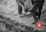 Image le camp de concentration de Bergen-Belsen Allemagne, 1945, de la seconde 47 séquences d'archives historiques vidéo 65675064130