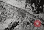 Image le camp de concentration de Bergen-Belsen Allemagne, 1945, de la seconde 51 séquences d'archives historiques vidéo 65675064130