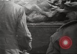 Image le camp de concentration de Bergen-Belsen Allemagne, 1945, de la seconde 62 séquences d'archives historiques vidéo 65675064130