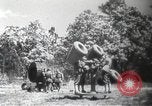 Image Recherchez les détecteurs de lumière et de son utilisés par l'Armée de terre Arkansas United States USA, 1942, de la seconde 5 séquences d'archives historiques vidéo 65675064134