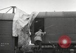 Image of Camouflaged 14-inch Naval railway gun France, 1918, second 59 stock footage video 65675064147