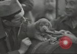 Image of French soldiers France, 1939, second 10 stock footage video 65675064167