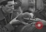 Image of French soldiers France, 1939, second 13 stock footage video 65675064167