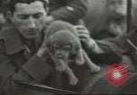 Image of French soldiers France, 1939, second 14 stock footage video 65675064167