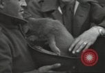Image of French soldiers France, 1939, second 16 stock footage video 65675064167