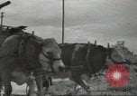 Image of French soldiers France, 1939, second 28 stock footage video 65675064167