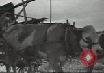 Image of French soldiers France, 1939, second 29 stock footage video 65675064167