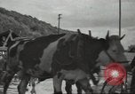 Image of French soldiers France, 1939, second 35 stock footage video 65675064167