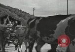 Image of French soldiers France, 1939, second 36 stock footage video 65675064167