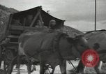 Image of French soldiers France, 1939, second 39 stock footage video 65675064167
