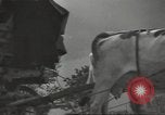 Image of French soldiers France, 1939, second 44 stock footage video 65675064167