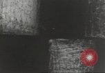 Immagine di Il mio cortile a giocare in United States USA, 1960, secondo 4 filmato di repertorio 65675064236