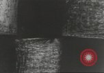 Immagine di Il mio cortile a giocare in United States USA, 1960, secondo 6 filmato di repertorio 65675064236
