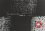 Immagine di Il mio cortile a giocare in United States USA, 1960, secondo 9 filmato di repertorio 65675064236
