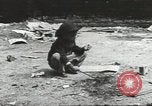 Immagine di Giochi per bambini United States USA, 1960, secondo 32 filmato di repertorio 65675064239