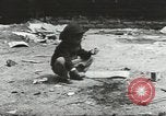 Immagine di Giochi per bambini United States USA, 1960, secondo 33 filmato di repertorio 65675064239