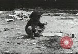 Immagine di Giochi per bambini United States USA, 1960, secondo 34 filmato di repertorio 65675064239