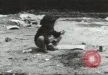 Immagine di Giochi per bambini United States USA, 1960, secondo 35 filmato di repertorio 65675064239
