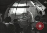 Immagine di Medico Arnold Gesell New Haven Connecticut USA, 1946, secondo 4 filmato di repertorio 65675064242