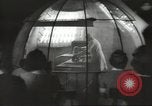 Immagine di Medico Arnold Gesell New Haven Connecticut USA, 1946, secondo 29 filmato di repertorio 65675064242