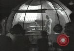 Immagine di Medico Arnold Gesell New Haven Connecticut USA, 1946, secondo 35 filmato di repertorio 65675064242