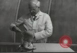 Image Docteur Arnold Gesell New Haven Connecticut USA, 1946, de la seconde 8 séquences d'archives historiques vidéo 65675064244