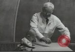 Image Docteur Arnold Gesell New Haven Connecticut USA, 1946, de la seconde 11 séquences d'archives historiques vidéo 65675064244