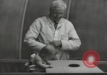 Image Docteur Arnold Gesell New Haven Connecticut USA, 1946, de la seconde 21 séquences d'archives historiques vidéo 65675064244