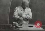 Image Docteur Arnold Gesell New Haven Connecticut USA, 1946, de la seconde 22 séquences d'archives historiques vidéo 65675064244