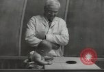 Image Docteur Arnold Gesell New Haven Connecticut USA, 1946, de la seconde 23 séquences d'archives historiques vidéo 65675064244
