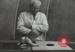 Image Docteur Arnold Gesell New Haven Connecticut USA, 1946, de la seconde 25 séquences d'archives historiques vidéo 65675064244