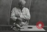 Image Docteur Arnold Gesell New Haven Connecticut USA, 1946, de la seconde 29 séquences d'archives historiques vidéo 65675064244