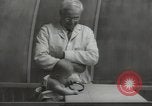 Image Docteur Arnold Gesell New Haven Connecticut USA, 1946, de la seconde 34 séquences d'archives historiques vidéo 65675064244