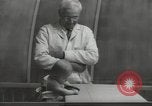 Image Docteur Arnold Gesell New Haven Connecticut USA, 1946, de la seconde 36 séquences d'archives historiques vidéo 65675064244