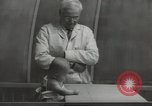 Image Docteur Arnold Gesell New Haven Connecticut USA, 1946, de la seconde 38 séquences d'archives historiques vidéo 65675064244