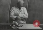 Image Docteur Arnold Gesell New Haven Connecticut USA, 1946, de la seconde 40 séquences d'archives historiques vidéo 65675064244