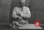 Image Docteur Arnold Gesell New Haven Connecticut USA, 1946, de la seconde 44 séquences d'archives historiques vidéo 65675064244